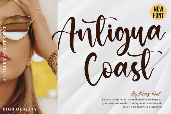 Antigua Coast: A Playful Script for Modern Designers