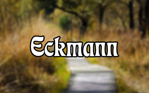 Eckmann: The Elegant Serif for Your Boldest Ideas