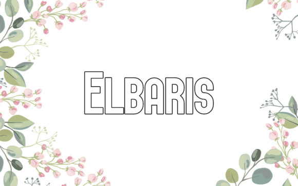 Elbaris: The Sans Serif for Your Most Creative Ideas