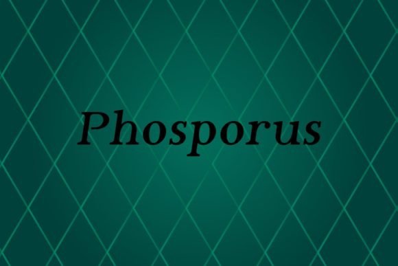 Phosporus: The Ultimate Sans Serif for Modern Designers