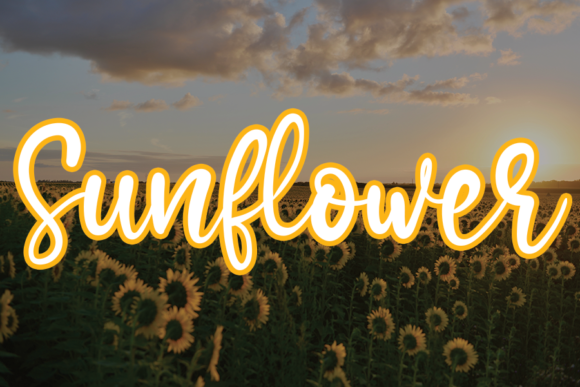 Sunflower Font: A Fresh Take on Handwritten Elegance